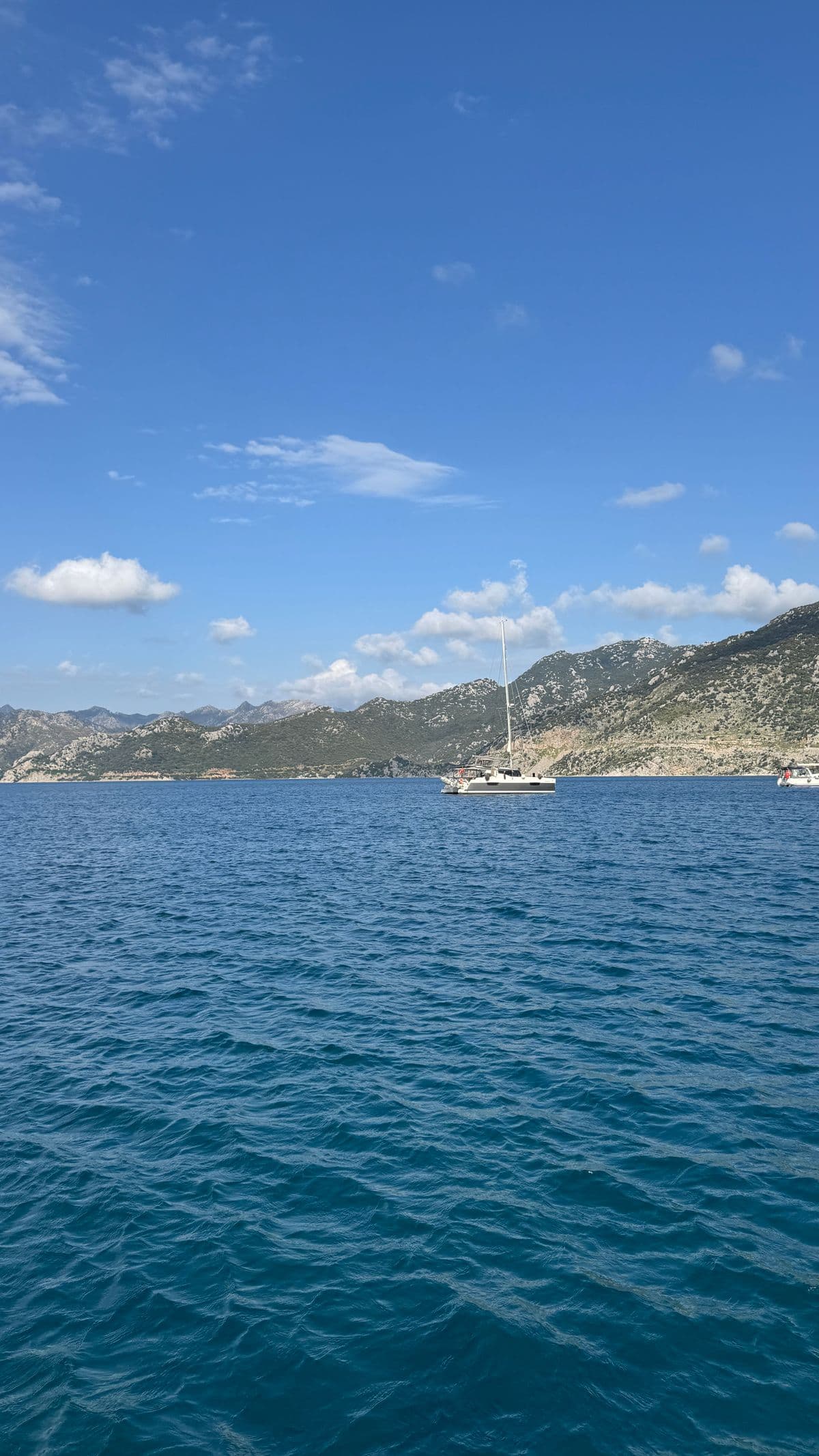 Barca a Vela — Uscita Mattina